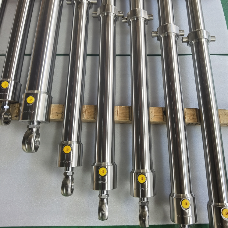 Stainless Steel Hydraulic Cylinder